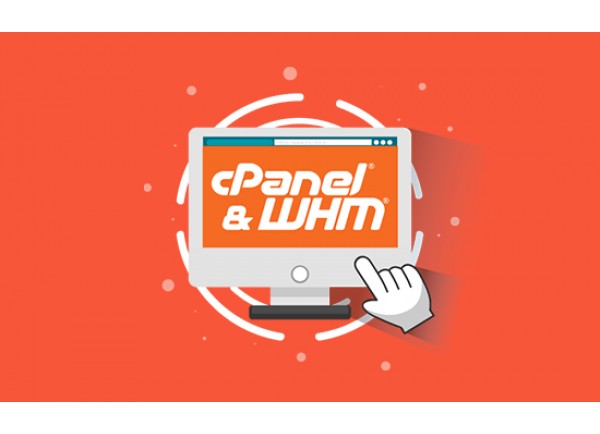 cPanel 1 Account